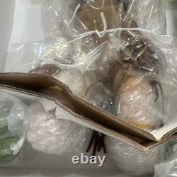 ASHTON DRAKE Legend of the Cherokee Rose Nat/Amer Porc doll Cindy McClure New