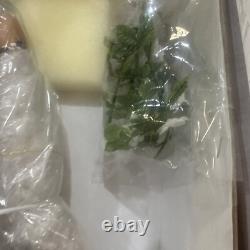 ASHTON DRAKE Legend of the Cherokee Rose Nat/Amer Porc doll Cindy McClure New ASHTON DRAKE Legend of the Cherokee Rose Nat/Amer Porc doll Cindy McClure New