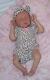 ASHTON DRAKE So Truly Real CHERISH Lifelike Baby Doll by Denise Farmer Enhanced
