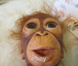 Adorable Ashton Drake Baby Babu 16 Lifelike Monkey Doll Simon Laurens