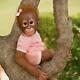 Annabelle's Hugs Ashton Drake Baby Monkey Doll By Ina Volprich 22 Inch NEW Gift
