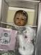 Ashton Drake Galleries Doll Elly Knoops LAMB OF GOD WithPrecious Moments Lamb NRFB