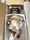 Ashton-Drake Galleries Milo The Safari Monkey Doll Lifelike So Truly Real