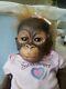 Ashton Drake LITTLE UMI Orangutan monkey 14 doll by Wendy Dickinson REPAIR need