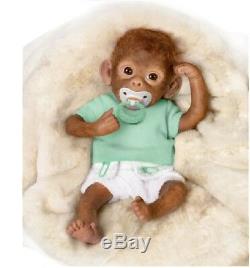 Ashton Drake Lolo Monkey Boy Baby Doll Monkey Siblings 16 By Linda Murray