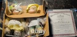 Ashton Drake Lot Of 9 Precious Moments Wizard of Oz Doll Collection
