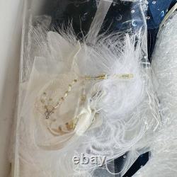 Ashton Drake Midnight Stargazer American Indian Porcelain Swarovski Crystals