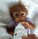 Ashton Drake SILICONE Monkey doll Little Risa by Melissa McCrory