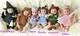 Ashton Drake Set Of Wizard Of Oz Heavenly Handfuls Dolls. By Tina Kewey. NIB