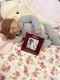 Ashton Drake Sweet Dreams Emily Collectors Edition Doll