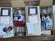 Ashton Drake Walt Disney World Boy & Girl 16 Porcelain Dolls New In Box Coa