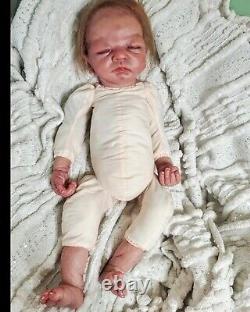 Ashton Drake Welcome Home Emily Linda Webb 21 Reborn Baby Doll Re Reborn