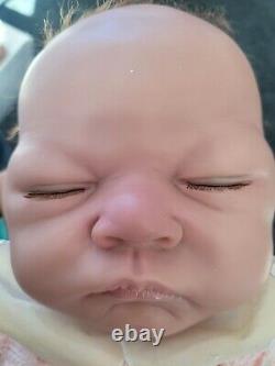 Ashton Drake Welcome Home Emily Linda Webb 21 Reborn Baby Girl Doll