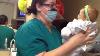 Ashton Drake Baby Given To Caring Nurse Paying It Forward