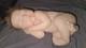 Ashton-drake bundle Of Love reborn doll By Marita Winters