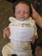 Authentic Reborn Baby Doll Bam Bam by Coy's Cuties Pamela Coy COA