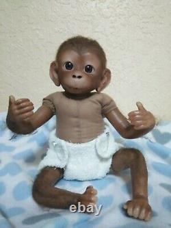 Baby Ashton Drake Monkey/Chimp? Realistic newborn 16 little boy Therapy Doll