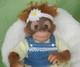 Darling Daisy Ashton Drake by Amy Ferreira So Truly Real Monkey EXTRAS! RETIRED