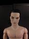 Fashion Royalty Homme Dracula Ashton Drake The Count Vampire doll Nude