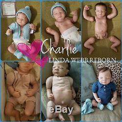 Reborn Charlie Doll, Linda Webb, Cloth Body, Realtouch Vinyl, Ashton Drake