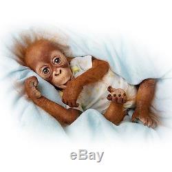 Simons Laurens Baby Babu 16 Collectible Orangutan Baby Doll by Ashton Drake