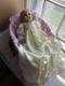 The Ashton-Drake Galleries Children are the Light of the World Vinyl Doll