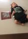 The Ashton-Drake Galleries Doll Ashley