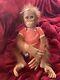 The Ashton-Drake Galleries Monkey Doll by Ina Volprich Annabelle's Hugs 22