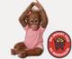 The Ashton-Drake Galleries Monkey Doll by Ina Volprich Annabelle's Hugs 22