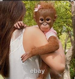 The Ashton-Drake Galleries Monkey Doll by Ina Volprich Annabelle's Hugs 22