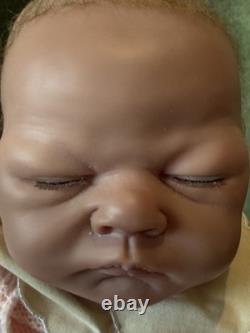 Welcome Home Baby Emily 20 Baby Doll by Linda Webb Ashton Drake Galleries