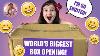 World Record Biggest Reborn Box Opening Ever How Many Babies Are There